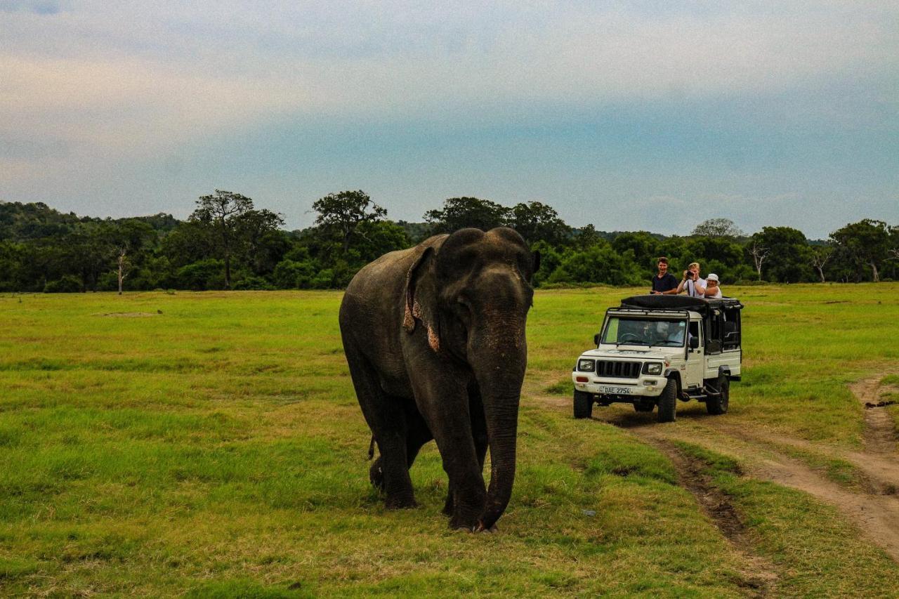 Lakmal Homestay ,10 Minutes To Sigiriya Rock エクステリア 写真
