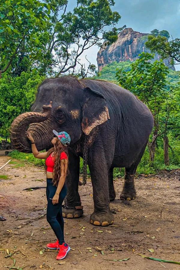 Lakmal Homestay ,10 Minutes To Sigiriya Rock エクステリア 写真