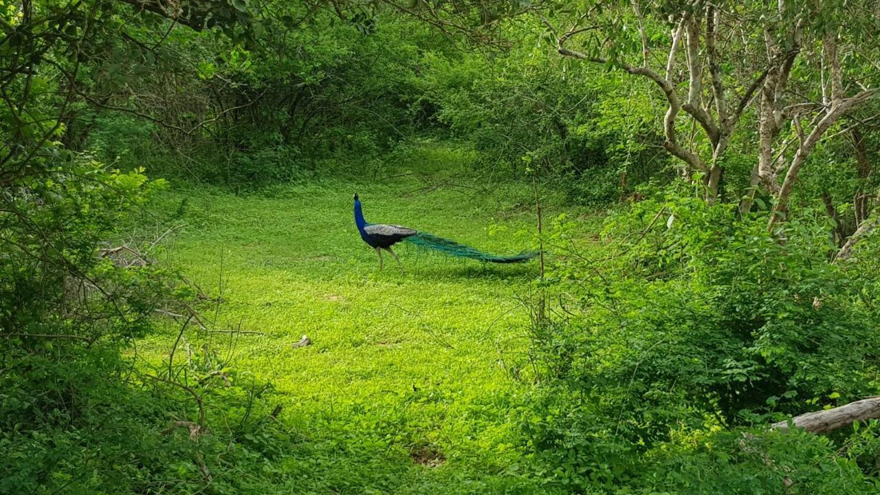 Lakmal Homestay ,10 Minutes To Sigiriya Rock エクステリア 写真