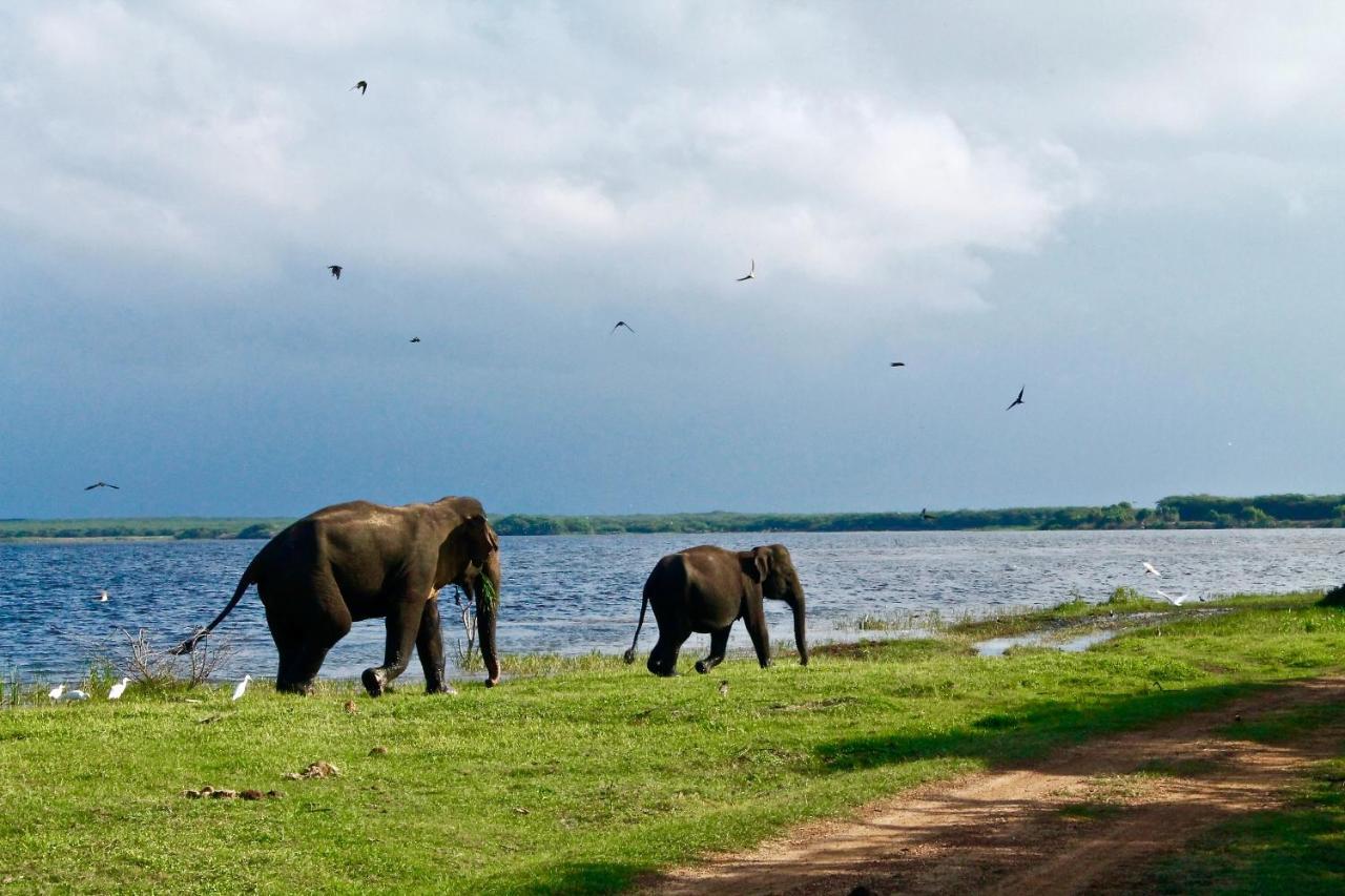Lakmal Homestay ,10 Minutes To Sigiriya Rock エクステリア 写真