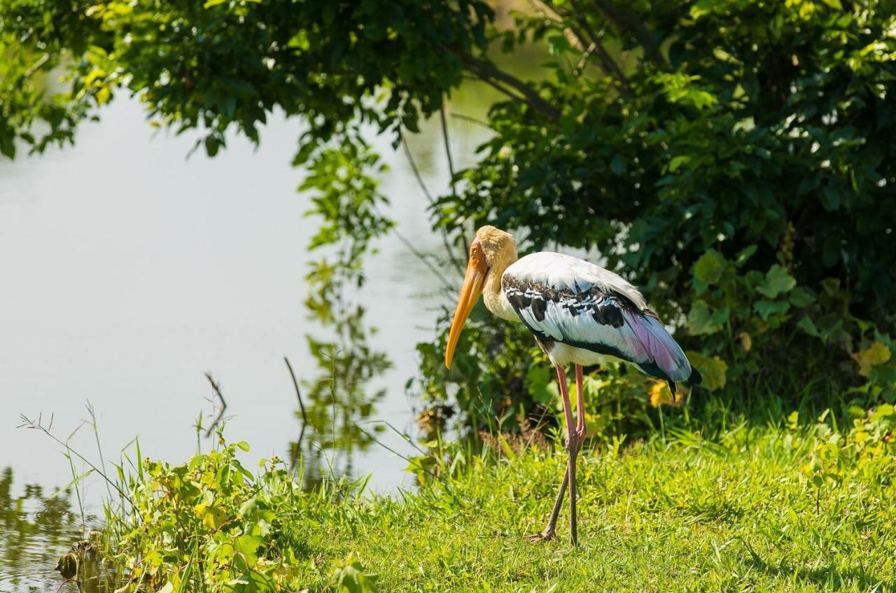 Lakmal Homestay ,10 Minutes To Sigiriya Rock エクステリア 写真